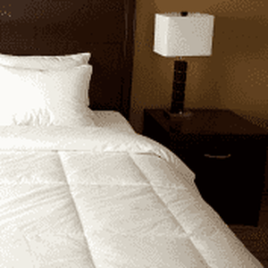 lot 115 image: Dorm Ready Twin XL White Down Comforter Insert RETAIL $130
