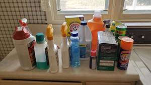 lot 19107 image: Cleaning Supplies