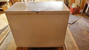 lot 19141 image: Gibson Chest Freezer